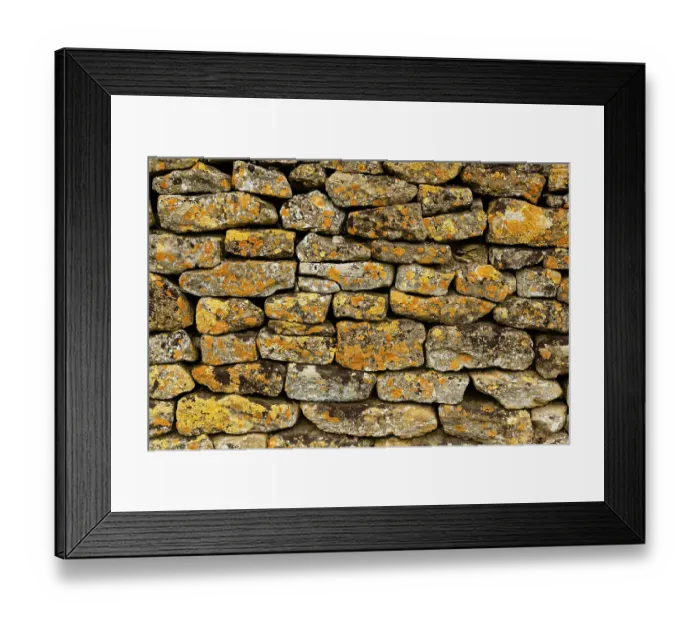 Framed Print : Dry stone wall made of Cotswold stone and covered in lichens, including (Caloplaca flavescens), in the village of Broadway, Worcestershire