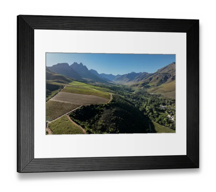 Framed Print : View across vineyard in the Jonkershoek valley, outside Cape Town, with mountains in background, Western Cape, South Africa. February, 2024 Framed Print : View across vineyard in the Jonkershoek valley, outside Cape Town, with mountains in background, Western Cape, South Africa. February, 2024