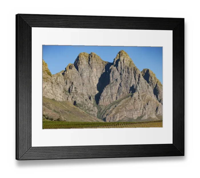 Framed Print : Vines on a farm in the Jonkershoek valley, outside Cape Town, with mountains in background, Western Cape, South Africa. February, 2024 Framed Print : Vines on a farm in the Jonkershoek valley, outside Cape Town, with mountains in background, Western Cape, South Africa. February, 2024