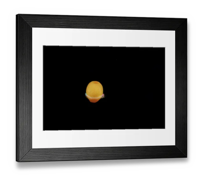 Framed Print : Coral egg, approximately 2 mm across, drifting in open ocean at night. The ring around the egg assists in movement until the egg settles onto a reef Framed Print : Coral egg, approximately 2 mm across, drifting in open ocean at night. The ring around the egg assists in movement until the egg settles onto a reef