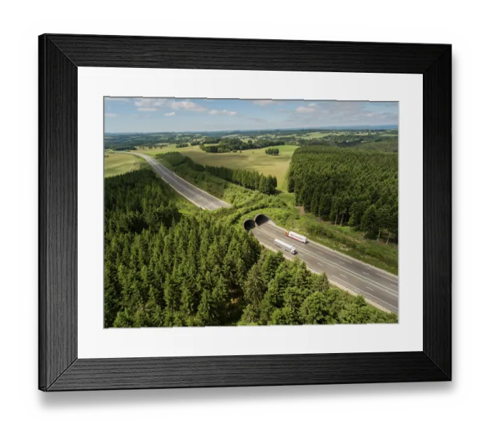 Framed Print : Aerial view of a wildlife crossing over the A89 highway, built in the 1970s, Puy-de-Dome, France. June, 2018 Framed Print : Aerial view of a wildlife crossing over the A89 highway, built in the 1970s, Puy-de-Dome, France. June, 2018