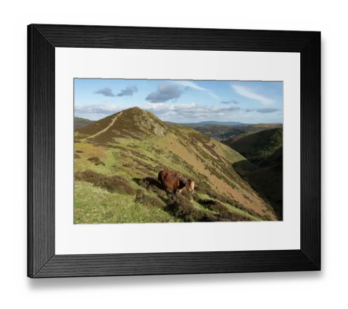 Framed Print : Devil's Mouth and Welsh Mountain pony, Townsbrook Valley, Long Mynd, Shropshire Hills National Landscape, England, UK. March, 2024 Framed Print : Devil's Mouth and Welsh Mountain pony, Townsbrook Valley, Long Mynd, Shropshire Hills National Landscape, England, UK. March, 2024