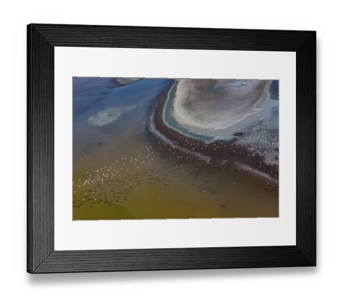 Framed Print : Aerial view of Lesser flamingos (Phoeniconaias minor) flock in flight over Lake Magadi, Kenya Framed Print : Aerial view of Lesser flamingos (Phoeniconaias minor) flock in flight over Lake Magadi, Kenya