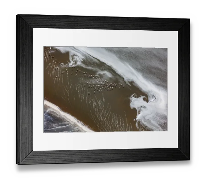Framed Print : Aerial view of Lesser flamingos (Phoeniconaias minor) flock in flight over Lake Magadi, Kenya Framed Print : Aerial view of Lesser flamingos (Phoeniconaias minor) flock in flight over Lake Magadi, Kenya