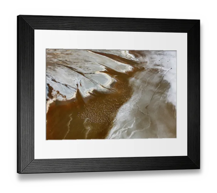 Framed Print : Aerial view of Lesser flamingos (Phoeniconaias minor) flock in flight over Lake Magadi, Kenya Framed Print : Aerial view of Lesser flamingos (Phoeniconaias minor) flock in flight over Lake Magadi, Kenya