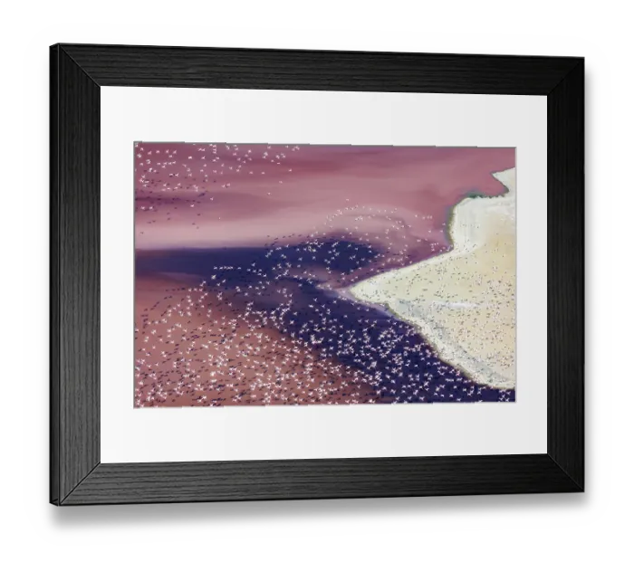 Framed Print : Aerial view of Lesser flamingos (Phoeniconaias minor) flock in flight over Lake Magadi, Kenya