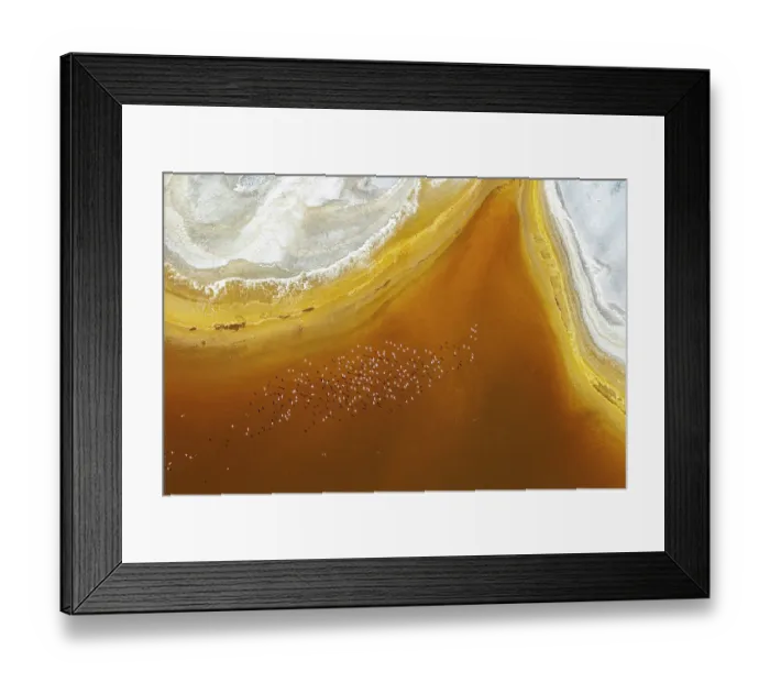 Framed Print : Aerial view of Lesser flamingos (Phoeniconaias minor) flock in flight over Lake Magadi, Kenya Framed Print : Aerial view of Lesser flamingos (Phoeniconaias minor) flock in flight over Lake Magadi, Kenya