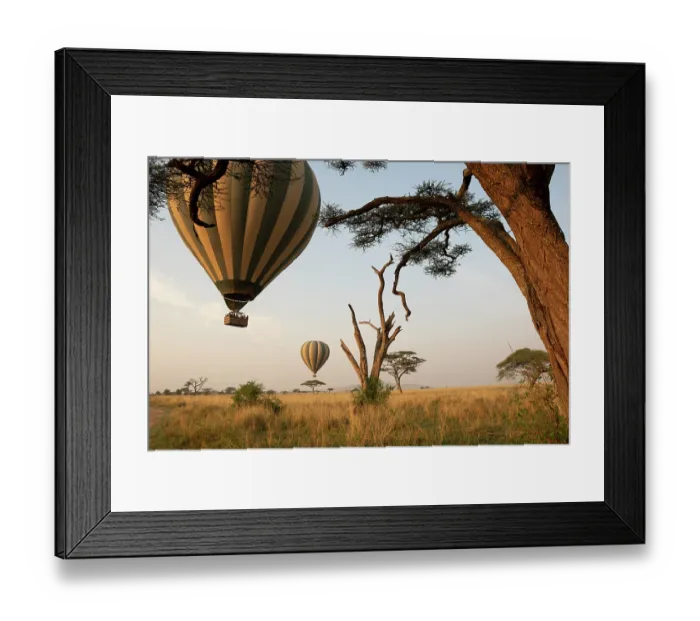 Framed Print : Hot air balloons lifting off at dawn over the savanna, Serengeti National Park, Tanzania. September, 2017 Framed Print : Hot air balloons lifting off at dawn over the savanna, Serengeti National Park, Tanzania. September, 2017