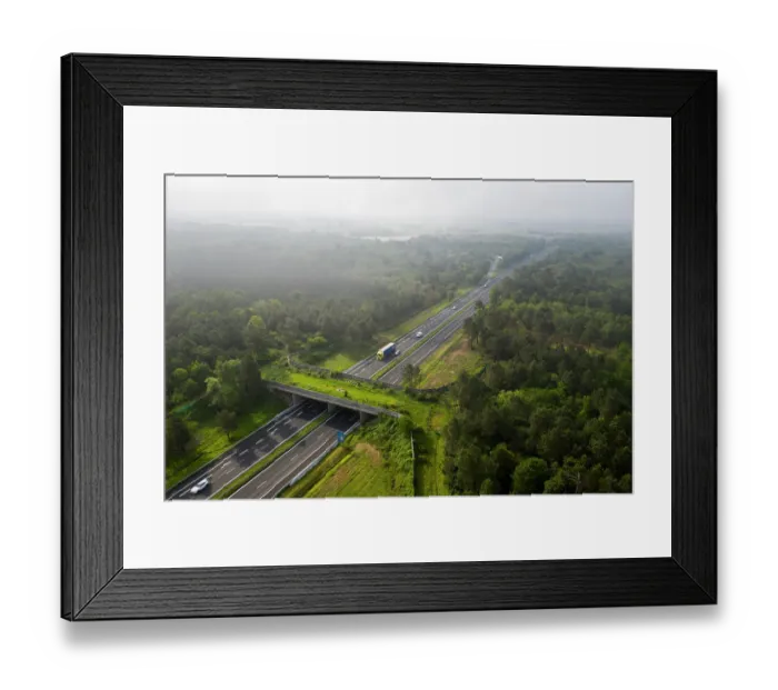 Framed Print : Aerial view of a wildlife crossing over the A10 highway, built in 2012, it is the most used by Red deer (Cervus elaphus) in France, Charente-Maritime, France. May, 2019 Framed Print : Aerial view of a wildlife crossing over the A10 highway, built in 2012, it is the most used by Red deer (Cervus elaphus) in France, Charente-Maritime, France. May, 2019