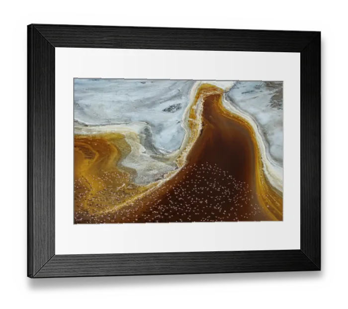 Framed Print : RF - Aerial view of Lesser flamingos (Phoeniconaias minor) flock in flight over Lake Magadi, Kenya. (This image may be licensed either as rights managed or royalty free.) Framed Print : RF - Aerial view of Lesser flamingos (Phoeniconaias minor) flock in flight over Lake Magadi, Kenya. (This image may be licensed either as rights managed or royalty free.)