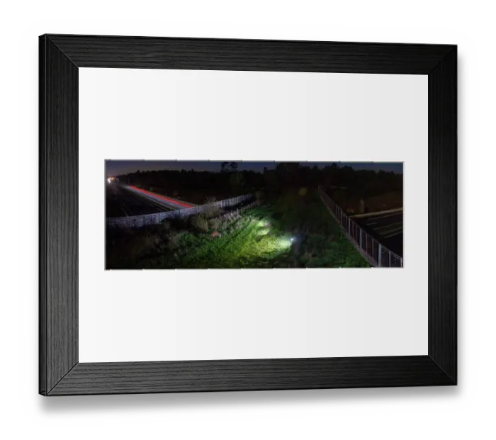 Framed Print : Red deer (Cervus elaphus) grazing at night on a wildlife crossing above the A10 highway, Charente-Maritime, France. November. Camera trap image. Stitched Framed Print : Red deer (Cervus elaphus) grazing at night on a wildlife crossing above the A10 highway, Charente-Maritime, France. November. Camera trap image. Stitched
