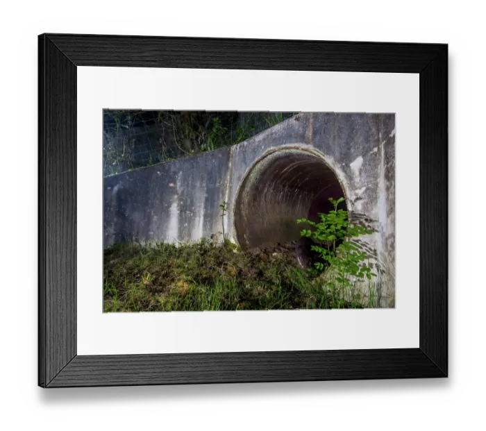 Framed Print : Eurasian otter (Lutra lutra) exiting a wildlife underpass below the A10 highway at night, Charente-Maritime, France. May. Camera trap image Framed Print : Eurasian otter (Lutra lutra) exiting a wildlife underpass below the A10 highway at night, Charente-Maritime, France. May. Camera trap image