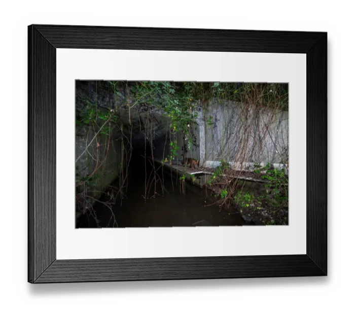 Framed Print : Fox (Vulpes Vulpes) using a wildlife underpass below the A87 highway and above the Lantraies brook at night, Maine-et-Loire, France. May. Camera trap image
