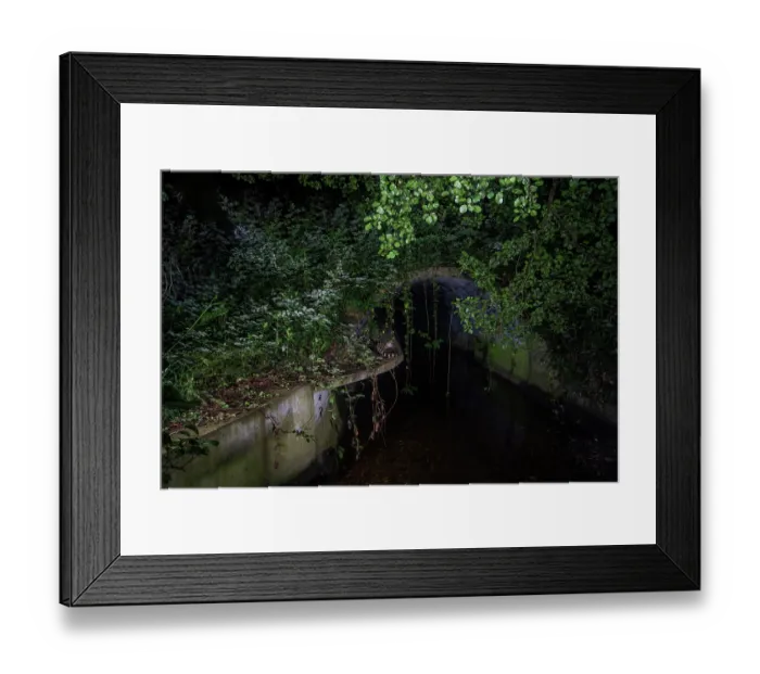 Framed Print : Common genet (Genetta genetta) entering a wildlife underpass below the A64 highway and above the Rieu-tort brook at night, Hautes-Pyrenees, France. May. Camera trap image Framed Print : Common genet (Genetta genetta) entering a wildlife underpass below the A64 highway and above the Rieu-tort brook at night, Hautes-Pyrenees, France. May. Camera trap image