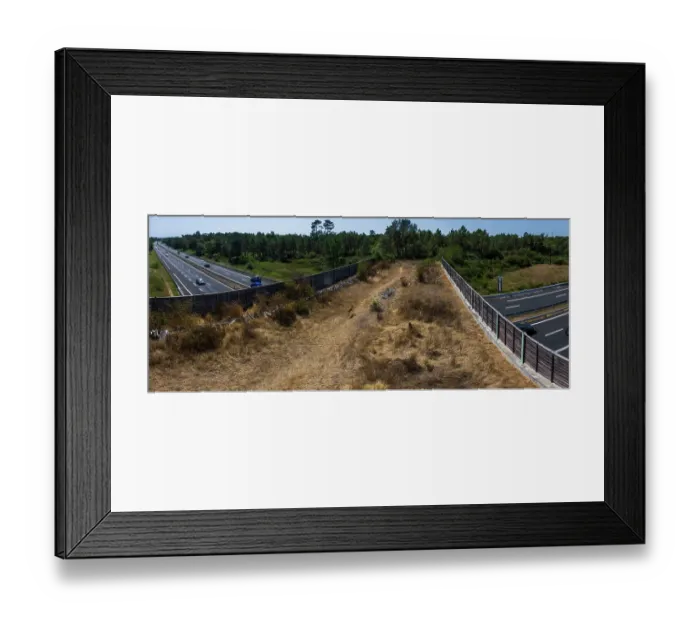 Framed Print : Roe deer (Capreolus capreolus) running across a wildlife crossing above the A10 highway, Charente-Maritime, France. August. Camera trap image. Stitched
