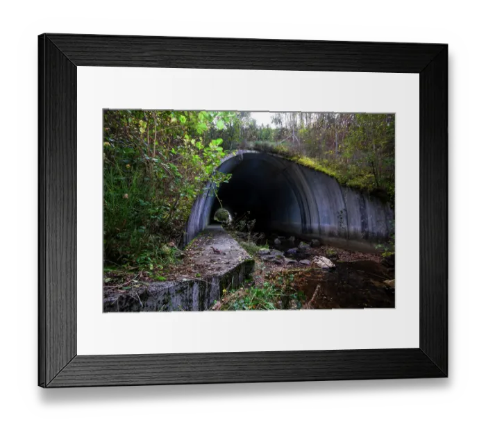 Framed Print : Stoat (Mustela erminea) standing on a wildlife underpass below the A89 highway and above the Deirot river, Correze, France. October. Camera trap image Framed Print : Stoat (Mustela erminea) standing on a wildlife underpass below the A89 highway and above the Deirot river, Correze, France. October. Camera trap image
