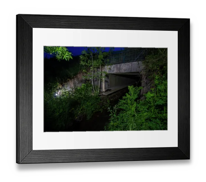 Framed Print : Beech marten (Martes foina) entering a wildlife underpass below the A87 highway and above the Natteries brook at night, Maine-et-Loire, France. May. Camera trap Framed Print : Beech marten (Martes foina) entering a wildlife underpass below the A87 highway and above the Natteries brook at night, Maine-et-Loire, France. May. Camera trap