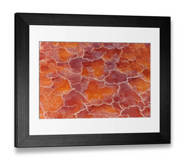 Framed Print : Soda deposits coloured by microorganisms and red algae on the surface of Lake Magadi, Rift Valley, Kenya. February, 2024 Framed Print : Soda deposits coloured by microorganisms and red algae on the surface of Lake Magadi, Rift Valley, Kenya. February, 2024
