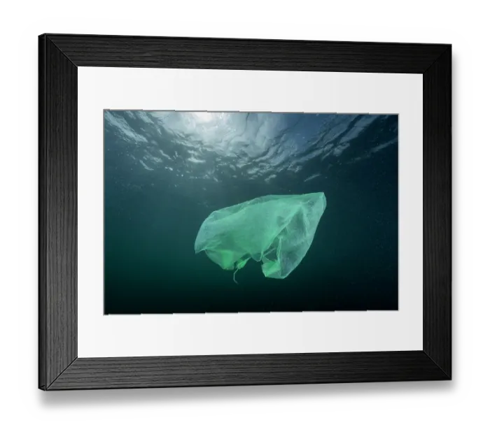 Framed Print : Plastic bag floating in open ocean, Atlantic Ocean, UK