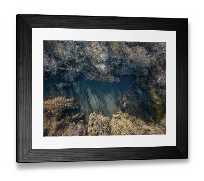 Framed Print : Aerial view of a European beaver (Castor fiber) dam on river, River Ain, Alps, France. February Framed Print : Aerial view of a European beaver (Castor fiber) dam on river, River Ain, Alps, France. February