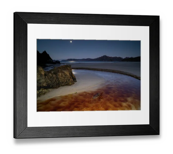 Framed Print : Campbell Island teal (Anas nesiotis) feeding in coastal stream under moonlight, Sealers Bay, Whenua Hou / Codfish Island, New Zealand Framed Print : Campbell Island teal (Anas nesiotis) feeding in coastal stream under moonlight, Sealers Bay, Whenua Hou / Codfish Island, New Zealand