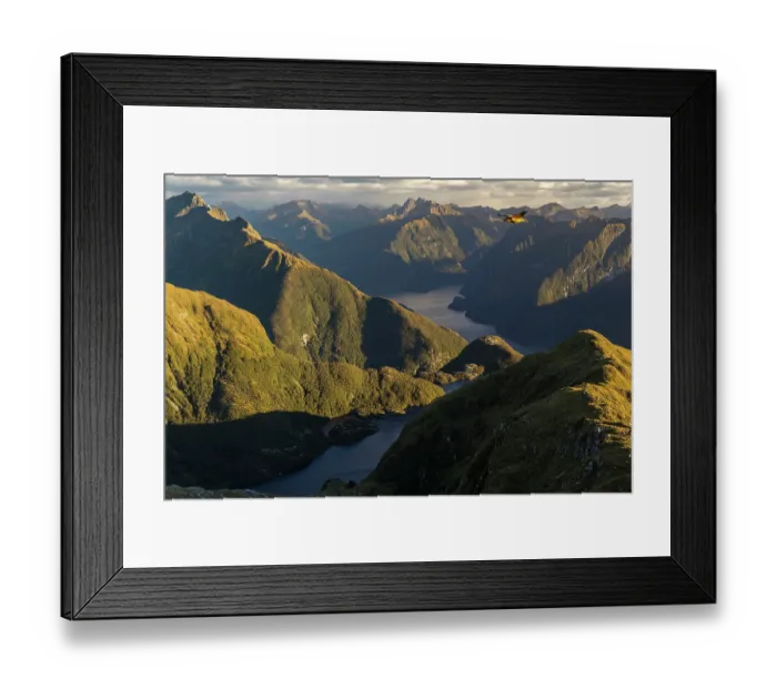 Framed Print : Kea (Nestor notabilis) in flight over an alpine lake with Doubtful Sound in the background, Fiordland National Park, South Island, New Zealand. Endangered Framed Print : Kea (Nestor notabilis) in flight over an alpine lake with Doubtful Sound in the background, Fiordland National Park, South Island, New Zealand. Endangered