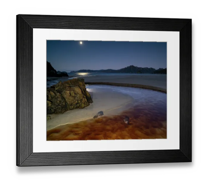 Framed Print : Two Campbell Island teals (Anas nesiotis) feeding in coastal stream under moonlight, Sealers Bay, Whenua Hou / Codfish Island, New Zealand Framed Print : Two Campbell Island teals (Anas nesiotis) feeding in coastal stream under moonlight, Sealers Bay, Whenua Hou / Codfish Island, New Zealand