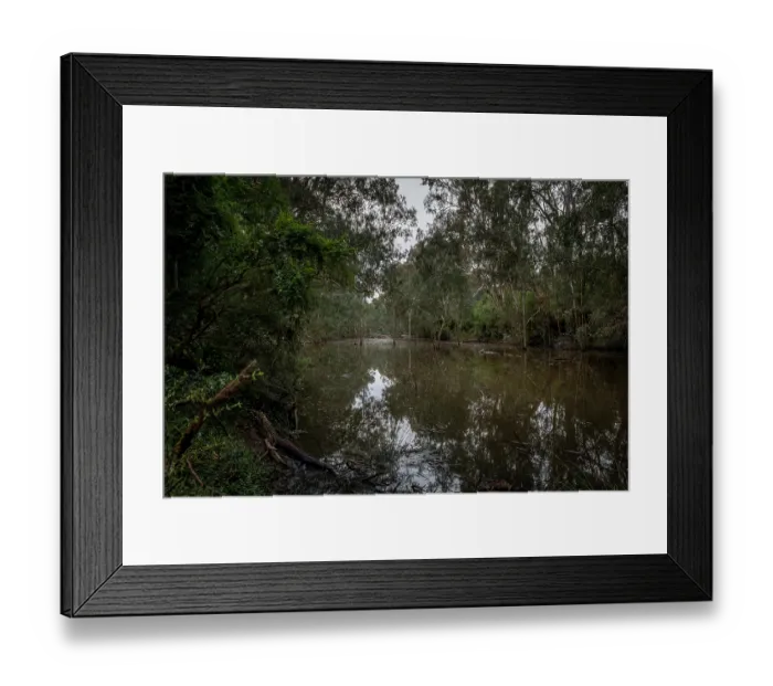 Framed Print : Bolin Bolin billabong surrounded by gum trees, Bulleen, Victoria, Australia . July, 2021