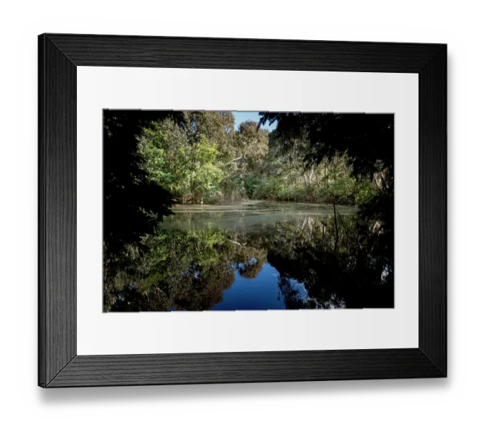 Framed Print : The Kew Billabong / The Willsmere Billabong, Willsmere Park Kew East, Victoria, Australia. July, 2021 Framed Print : The Kew Billabong / The Willsmere Billabong, Willsmere Park Kew East, Victoria, Australia. July, 2021