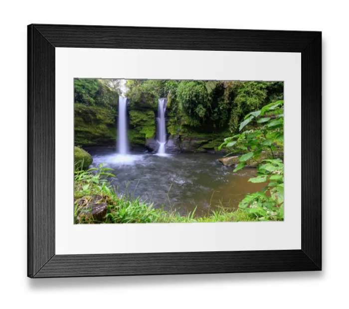 Framed Print : Rainforest waterfall flowing over moss-covered rocks in buffer zone of Sumaco National Park, Ecuador. January, 2024 Framed Print : Rainforest waterfall flowing over moss-covered rocks in buffer zone of Sumaco National Park, Ecuador. January, 2024