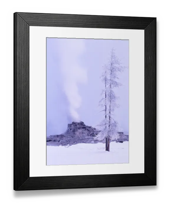 Framed Print : Ice covered tree growing beside Castle Geyser, Yellowstone National Park, Wyoming, USA Framed Print : Ice covered tree growing beside Castle Geyser, Yellowstone National Park, Wyoming, USA