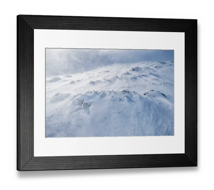 Framed Print : RF - Mountain hare (Lepus timidus) sheltering in snow hole as ferocious winds whip up spindrift high in the mountains, Cairngorms National Park, Scotland, UK. March Framed Print : RF - Mountain hare (Lepus timidus) sheltering in snow hole as ferocious winds whip up spindrift high in the mountains, Cairngorms National Park, Scotland, UK. March
