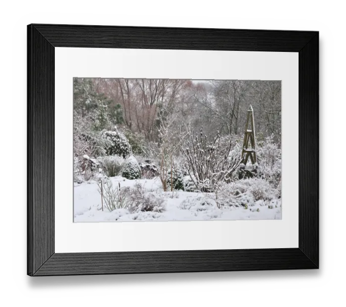 Framed Print : Country garden in winter during snow storm, Dorset, England, UK January, 2013 Framed Print : Country garden in winter during snow storm, Dorset, England, UK January, 2013