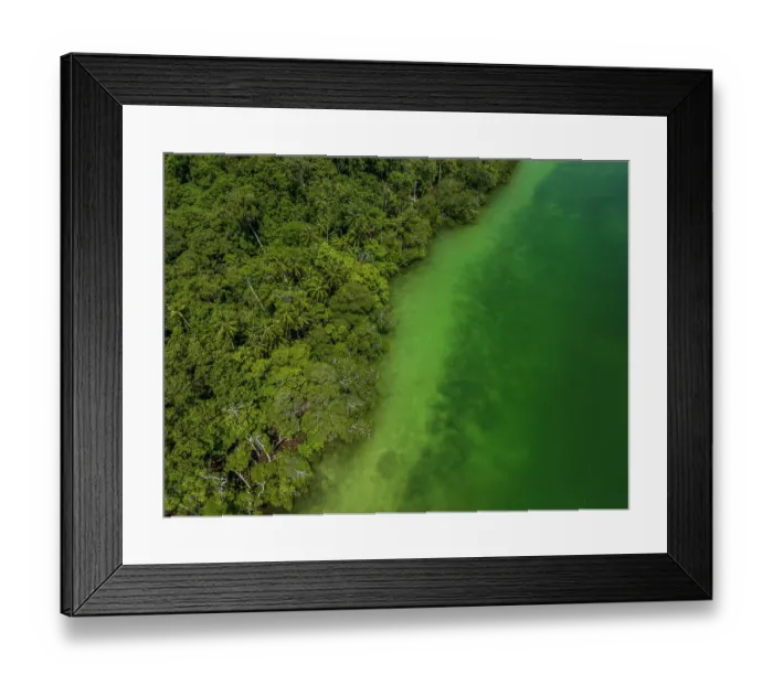 Framed Print : Aerial view of mangroves and lagoon on Emirau Island, New Ireland Province, Papua New Guinea. November, 2023 Framed Print : Aerial view of mangroves and lagoon on Emirau Island, New Ireland Province, Papua New Guinea. November, 2023