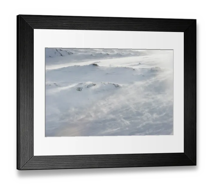 Framed Print : Mountain hare (Lepus timidus) in winter coat, resting in snow hole on exposed mountain as strong wind whips up the spindrift, Cairngorms National Park, Scotland, UK. March Framed Print : Mountain hare (Lepus timidus) in winter coat, resting in snow hole on exposed mountain as strong wind whips up the spindrift, Cairngorms National Park, Scotland, UK. March