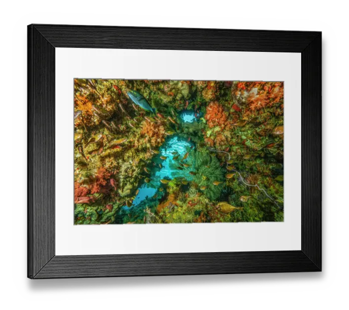 Framed Print : Underwater cave with Soft corals (Nephtheidae), Cup corals (Dendrophylliidae), Black corals (Antipatharia), Dusky sweepers (Pempheris adusta) Framed Print : Underwater cave with Soft corals (Nephtheidae), Cup corals (Dendrophylliidae), Black corals (Antipatharia), Dusky sweepers (Pempheris adusta)