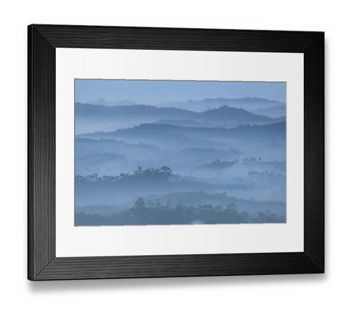 Framed Print : View over forest clearance  /  cultivated land and and introduced Eucalyptus plantations adjacent to mid-elevation rainforest on a misty morning, Maromizaha Forest