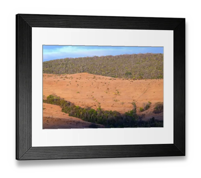 Framed Print : Deciduous / semi-humid forest and anthropogenic grassland boundary / ecotone in early morning light, Andrafiamena-Andavakoera Protected Forest, northern Madagascar. October, 2023 Framed Print : Deciduous / semi-humid forest and anthropogenic grassland boundary / ecotone in early morning light, Andrafiamena-Andavakoera Protected Forest, northern Madagascar. October, 2023