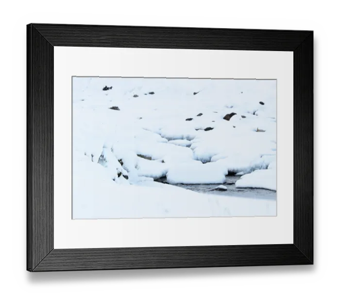 Framed Print : Mountain hare (Lepus timidus) resting in snow hole close to a snow covered mountain river, Cairngorms National Park, Scotland, UK. February