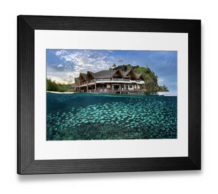 Framed Print : Split level view of school of Double-lined fusilier (Pterocaesio digramma) swimming over Corals (Acropora sp.) in front of Misool Resort, Misool, Raja Ampat, West Papua Framed Print : Split level view of school of Double-lined fusilier (Pterocaesio digramma) swimming over Corals (Acropora sp.) in front of Misool Resort, Misool, Raja Ampat, West Papua
