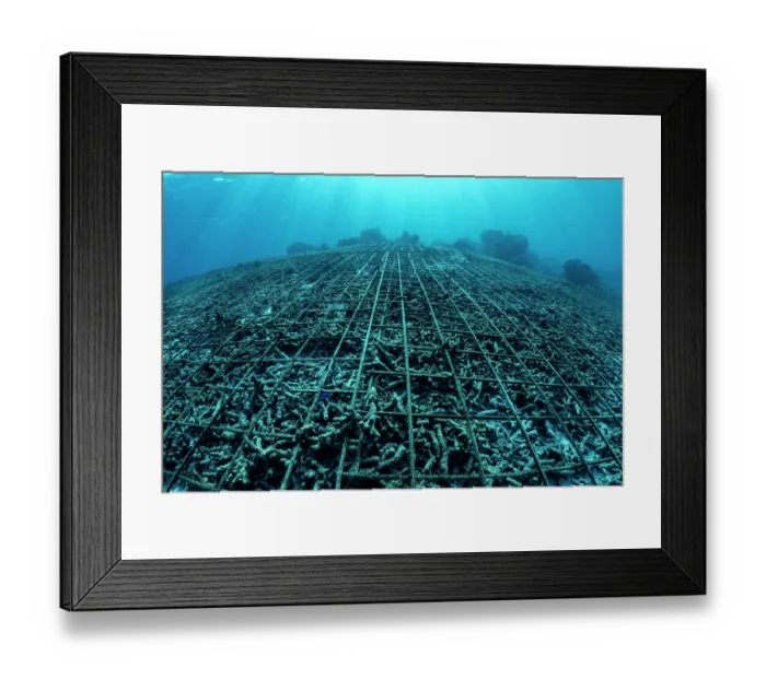 Framed Print : Metal grids places on a damaged seabed to enable corals to recolonise Framed Print : Metal grids places on a damaged seabed to enable corals to recolonise