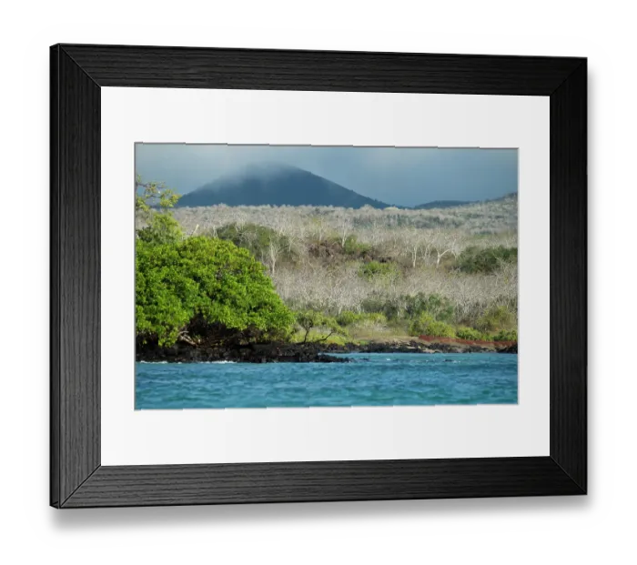 Framed Print : View of Floreana Island seen from the northern shore, Galapagos Islands. July, 2022 Framed Print : View of Floreana Island seen from the northern shore, Galapagos Islands. July, 2022
