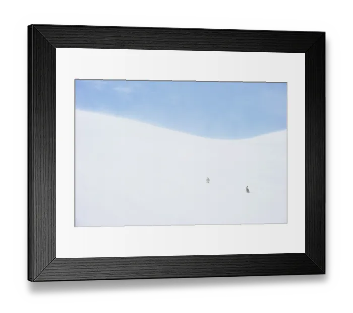Framed Print : Two Mountain hares (Lepus timidus) in winter coat, sitting on ice field, high in the mountains, Cairngorms National Park, Scotland, UK. February Framed Print : Two Mountain hares (Lepus timidus) in winter coat, sitting on ice field, high in the mountains, Cairngorms National Park, Scotland, UK. February