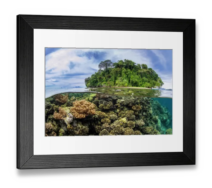 Framed Print : Split level view of the coral reef in front of Restorf Island, Kimbe Bay, West New Britain, Papua New Guinea, Bismark Sea, Pacific Ocean. October, 2023 Framed Print : Split level view of the coral reef in front of Restorf Island, Kimbe Bay, West New Britain, Papua New Guinea, Bismark Sea, Pacific Ocean. October, 2023