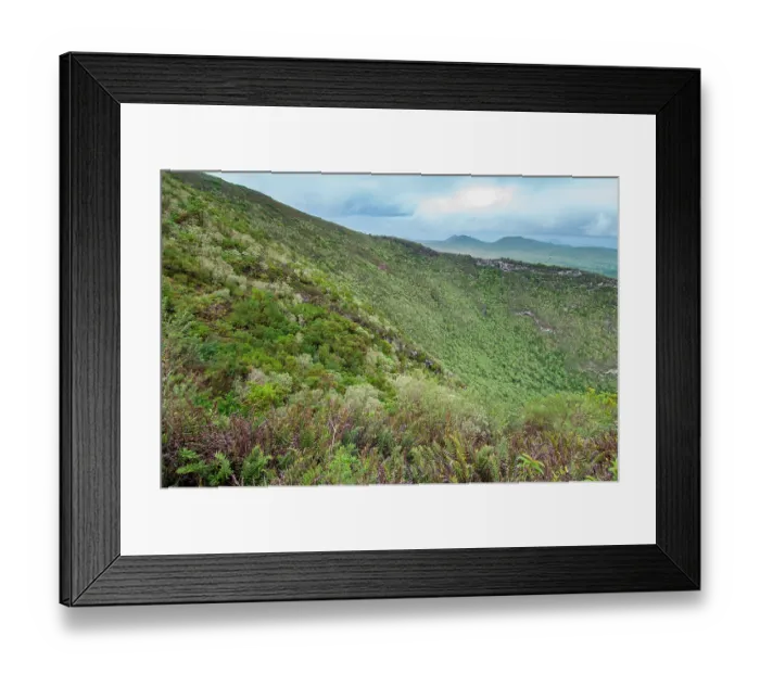 Framed Print : View over Cerro Paja dormant volcano crater, Floreana Island, Galapagos Islands. June, 2009 Framed Print : View over Cerro Paja dormant volcano crater, Floreana Island, Galapagos Islands. June, 2009