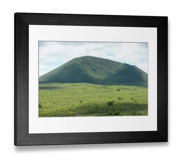 Framed Print : Remnants of endemic Scalesia forest near Cerro Paja dormant volcano, Floreana Island, Galapagos Islands. June, 2009 Framed Print : Remnants of endemic Scalesia forest near Cerro Paja dormant volcano, Floreana Island, Galapagos Islands. June, 2009