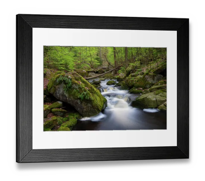 Framed Print : River flowing through mixed forest, Valley of the Ilse, Harz mountain range, Harz National Park, Saxony-Anhalt, Germany. May, 2021 Framed Print : River flowing through mixed forest, Valley of the Ilse, Harz mountain range, Harz National Park, Saxony-Anhalt, Germany. May, 2021