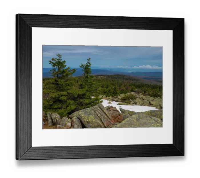 Framed Print : View from Brocken, the highest peak in the Harz mountain range, with Spruce trees (Picea abies) on rocks with remaining snow, Harz National Park, Saxony-Anhalt, Germany. May, 2021 Framed Print : View from Brocken, the highest peak in the Harz mountain range, with Spruce trees (Picea abies) on rocks with remaining snow, Harz National Park, Saxony-Anhalt, Germany. May, 2021