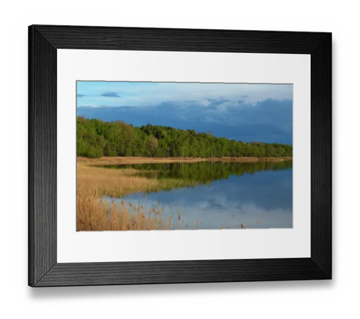 Framed Print : Rederang Lake fringed with reedbeds and forest under a stormy sky, Muritz National Park, Mecklenburg-Western Pomerania, Germany. May, 2021 Framed Print : Rederang Lake fringed with reedbeds and forest under a stormy sky, Muritz National Park, Mecklenburg-Western Pomerania, Germany. May, 2021
