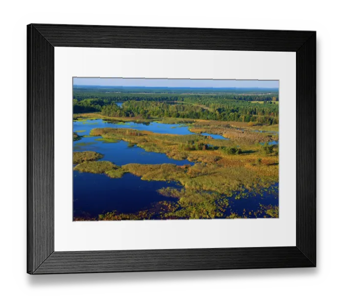 Framed Print : Aerial view of man-made ponds surrounded by extensive stretches of reedbeds and forest, Lusatia, Saxony, Germany. September, 2010 Framed Print : Aerial view of man-made ponds surrounded by extensive stretches of reedbeds and forest, Lusatia, Saxony, Germany. September, 2010